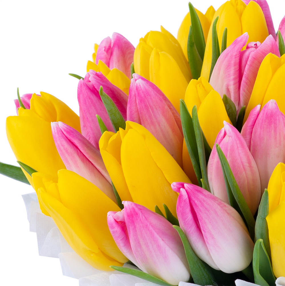 51 разноцветных тюльпан в голубой шляпной коробке