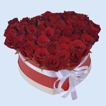 51 красная роза в коробке в форме сердца