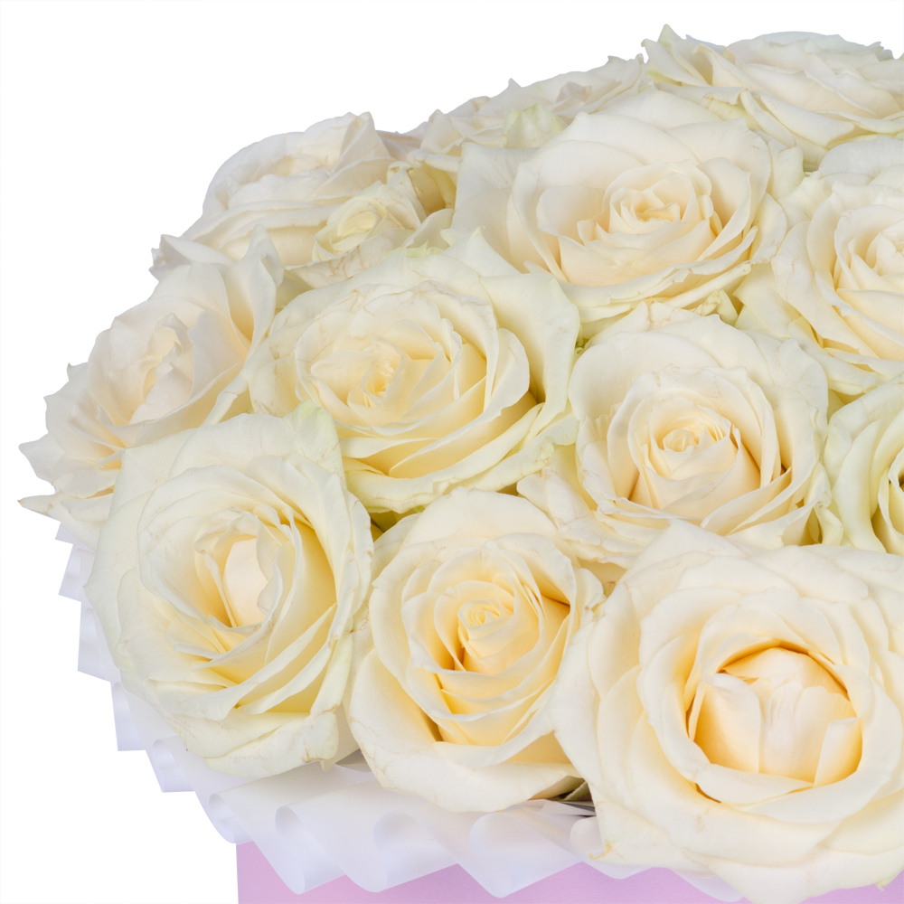 25 белых роз premium в розовой шляпной коробке
