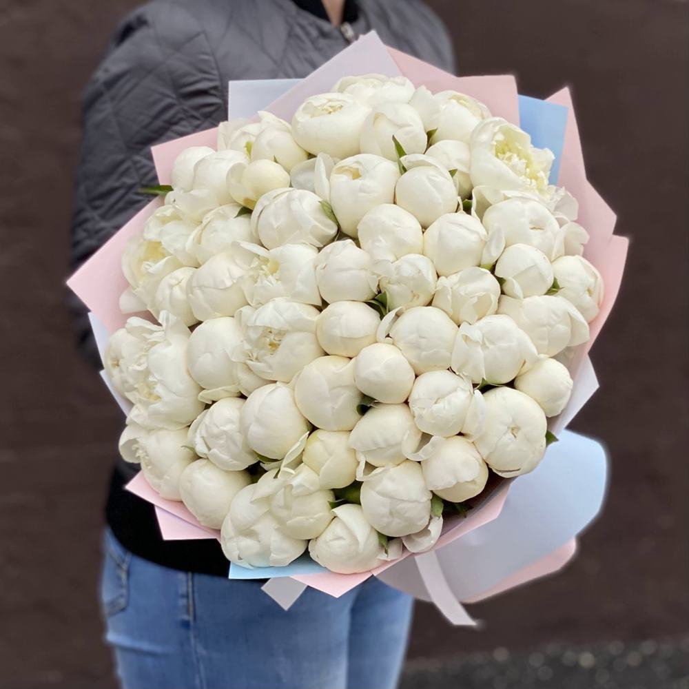 Букет из 51 белого пиона