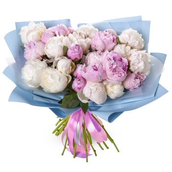 Букет из 25 разноцветных пионов