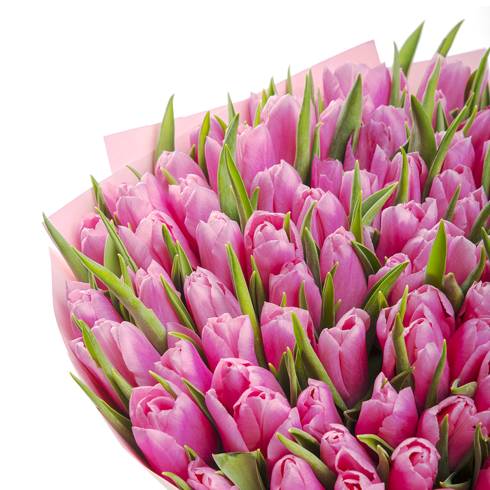 101 розовый тюльпан