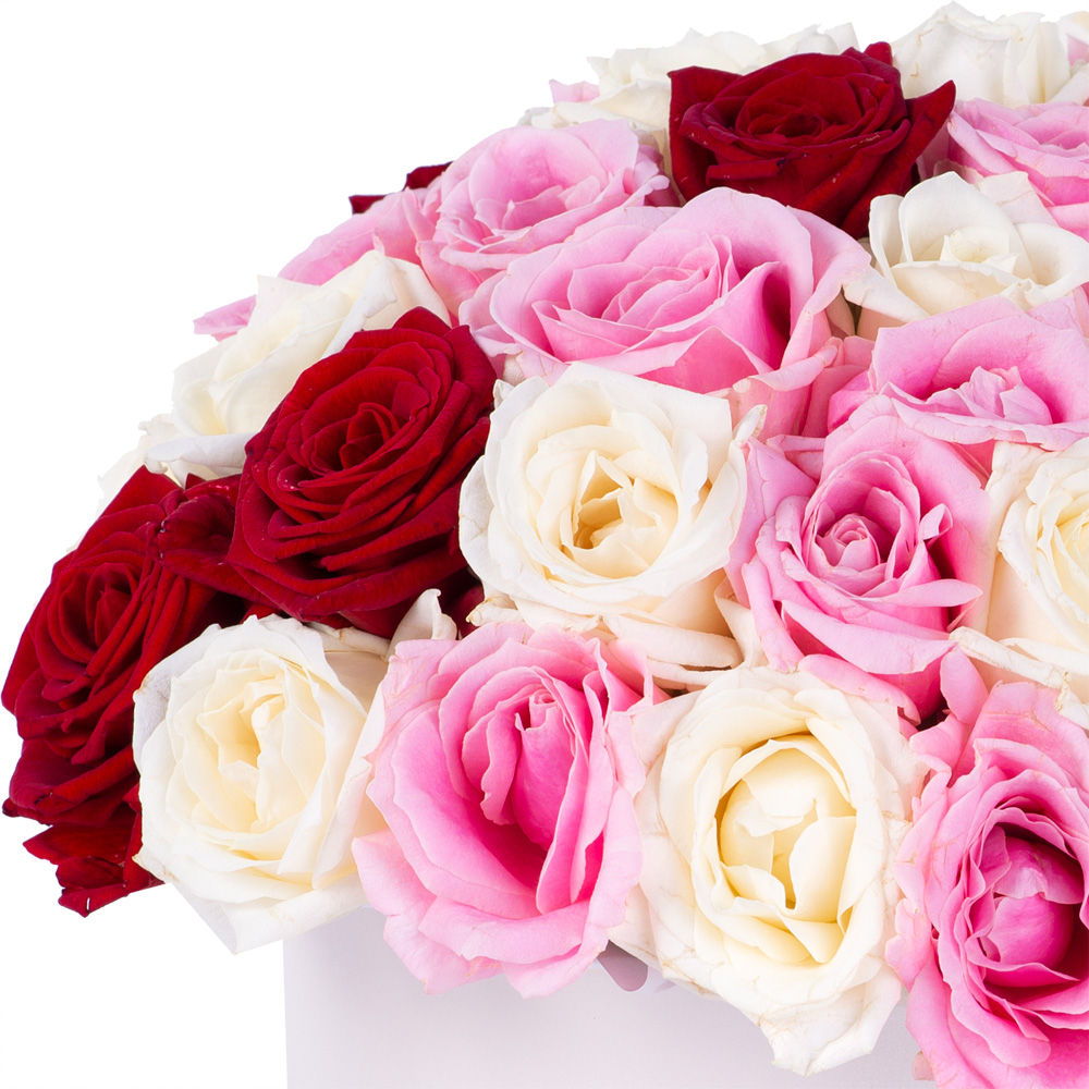 Букет из 51 разноцветной розы premium в кремовой шляпной коробке