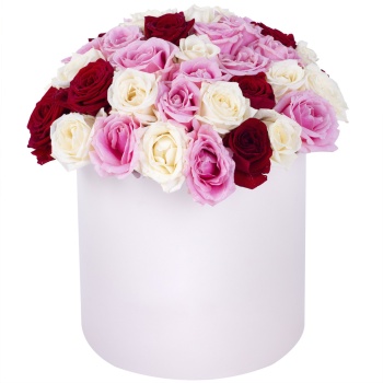 Букет из 51 разноцветной розы premium в кремовой шляпной коробке