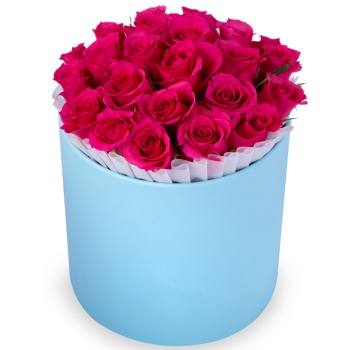 25 малиновых роз в голубой шляпной коробке