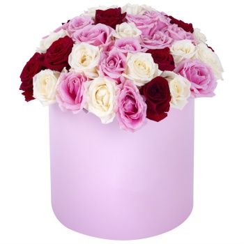 Букет из 51 разноцветной розы premium в розовой шляпной коробке