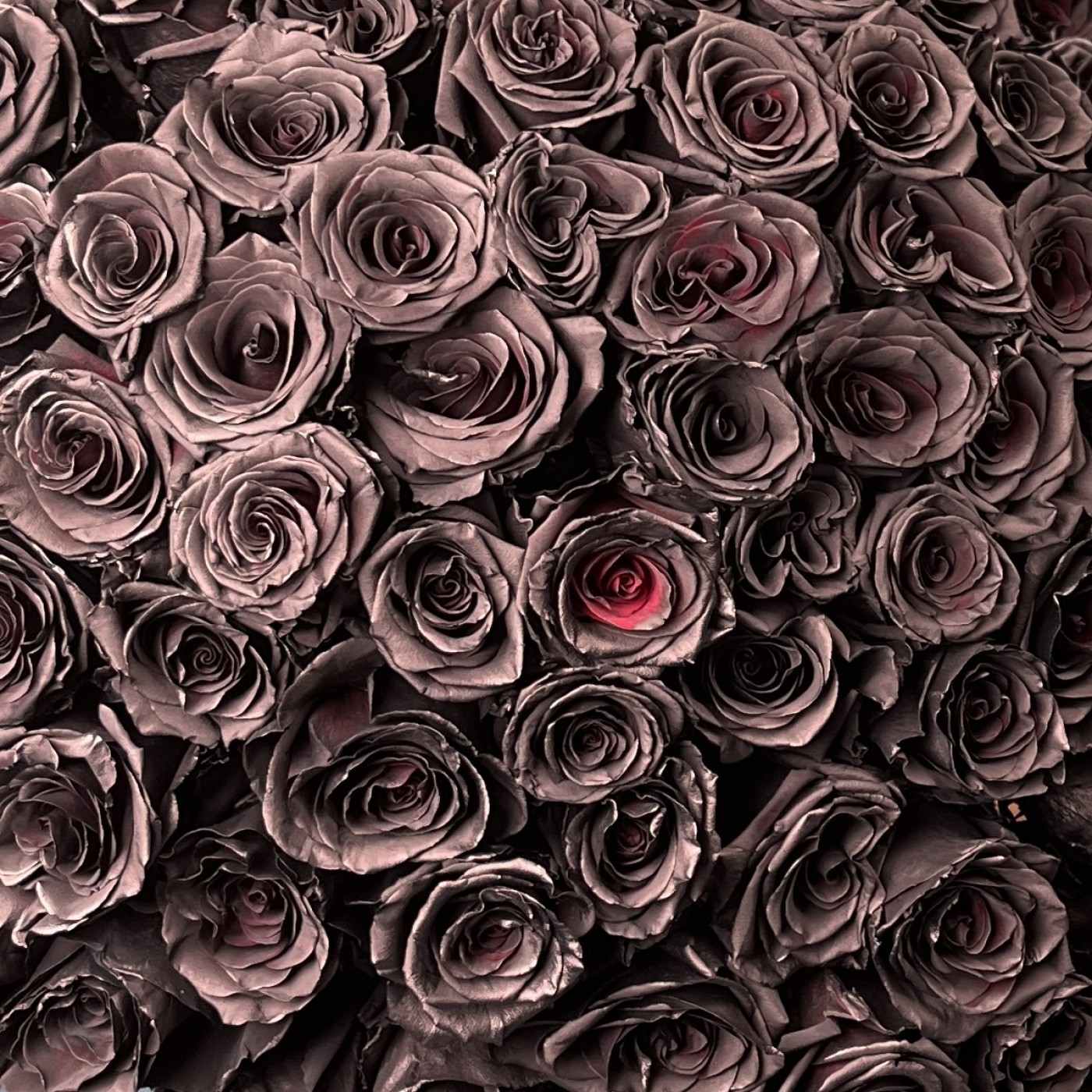 Букет из 101 чёрной розы