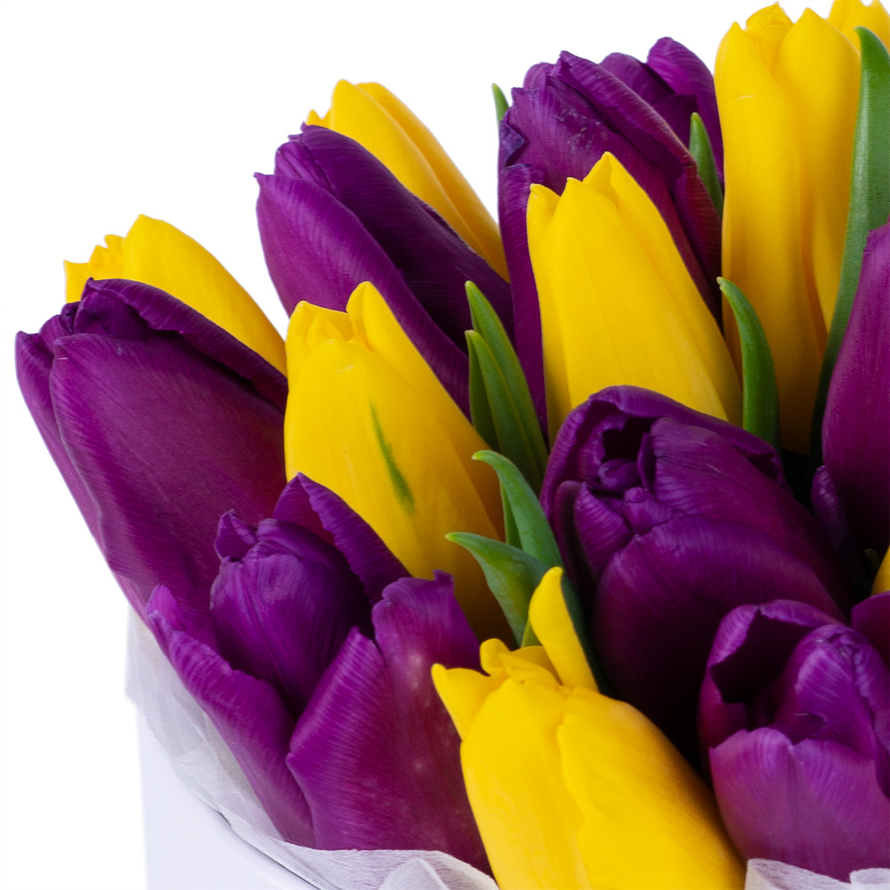 25 разноцветных тюльпан в белой шляпной коробке