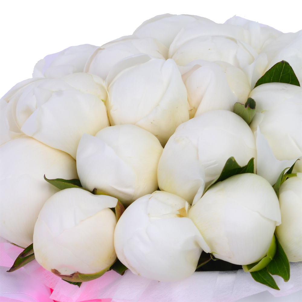 Букет из 25 белых пионов в белой шляпной коробке