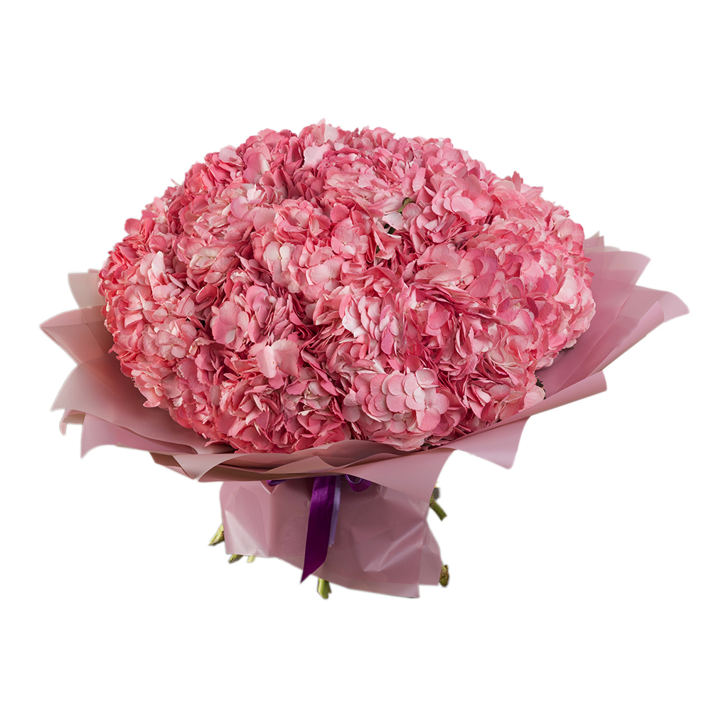 Букет из 25 розовых гортензий