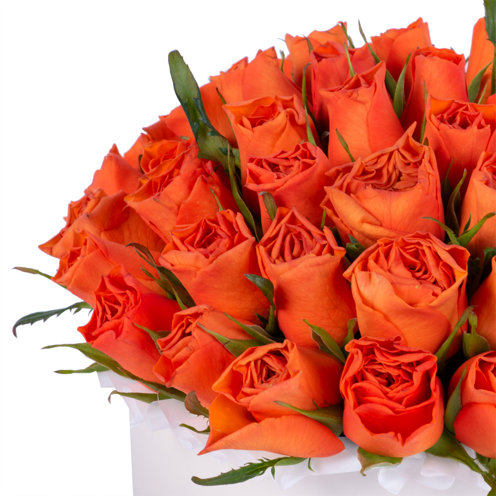 51 оранжевая роза в кремовой шляпной коробке