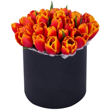 35 огненных тюльпан в черной шляпной коробке