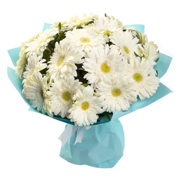 Букет из 21 белой герберы