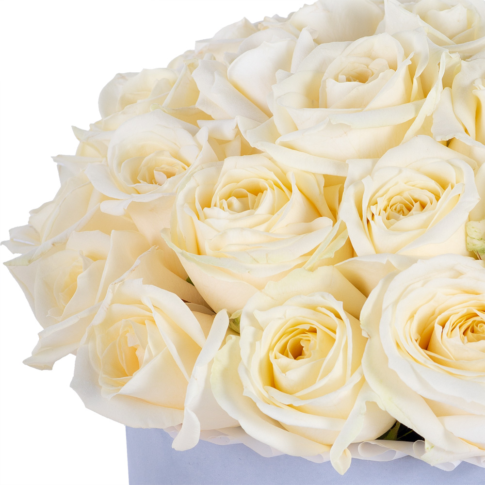 Букет из 35 белых роз premium в серой бархатной шляпной коробке