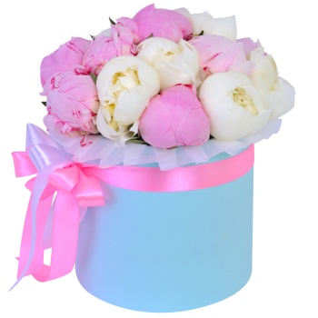 Букет из 11 разноцветных пионов в голубой шляпной коробке