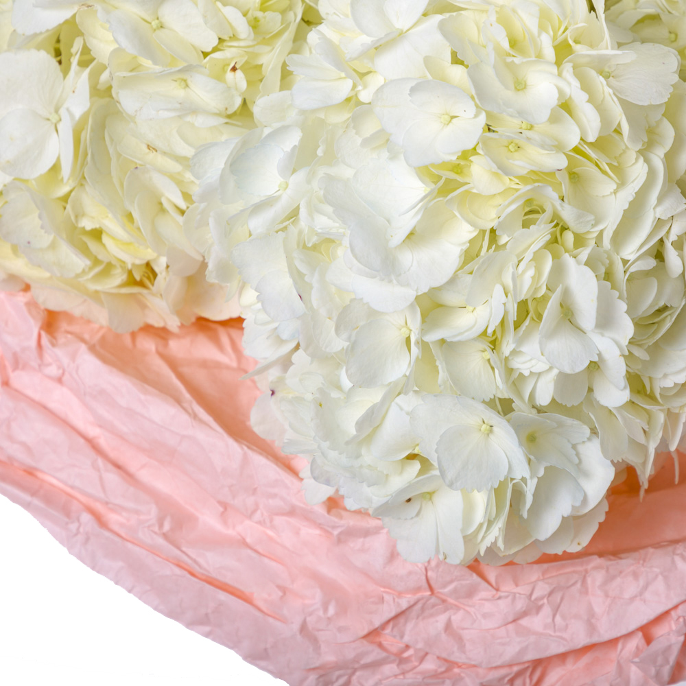 Букет из 9 белых гортензий