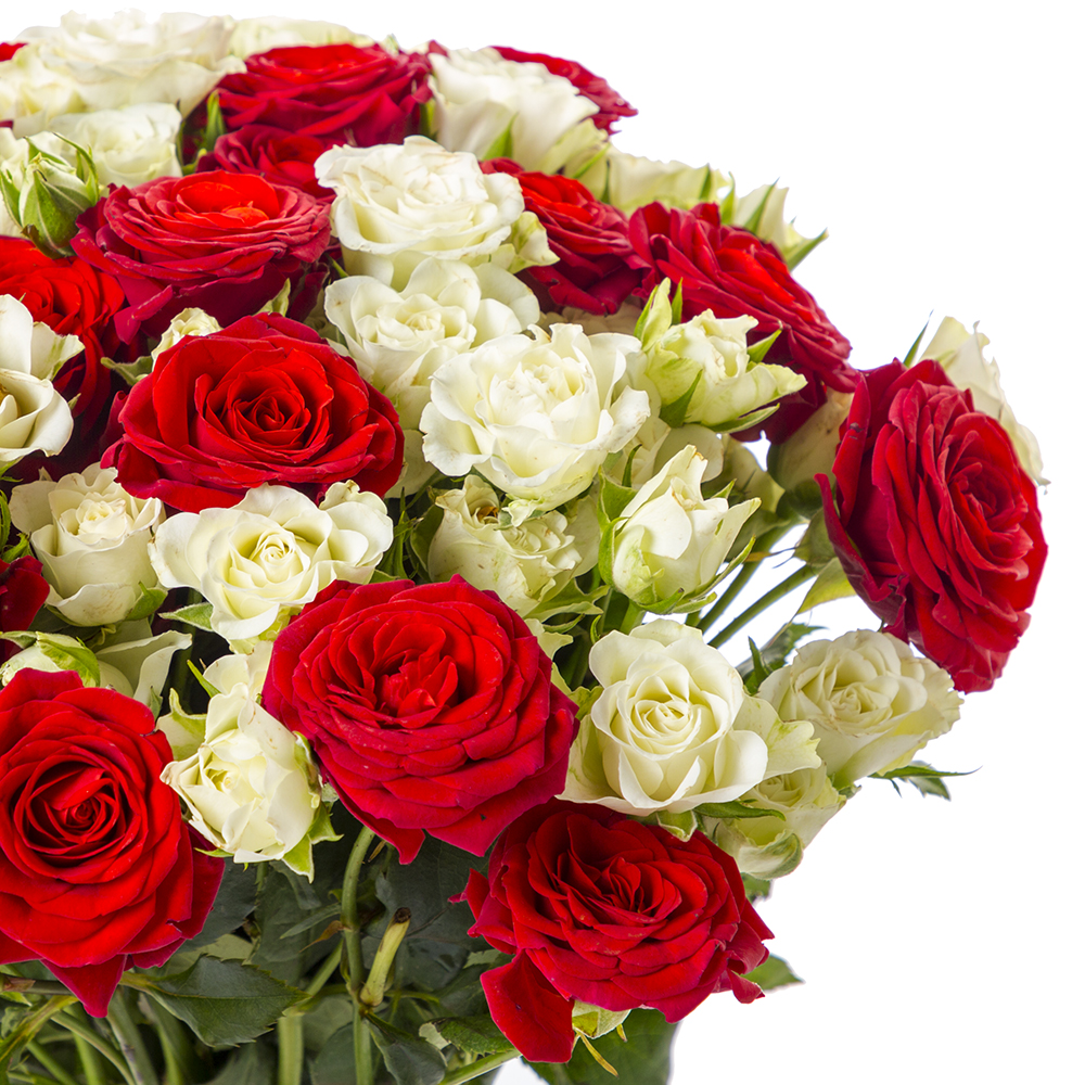 25 красно-белых кустовых роз
