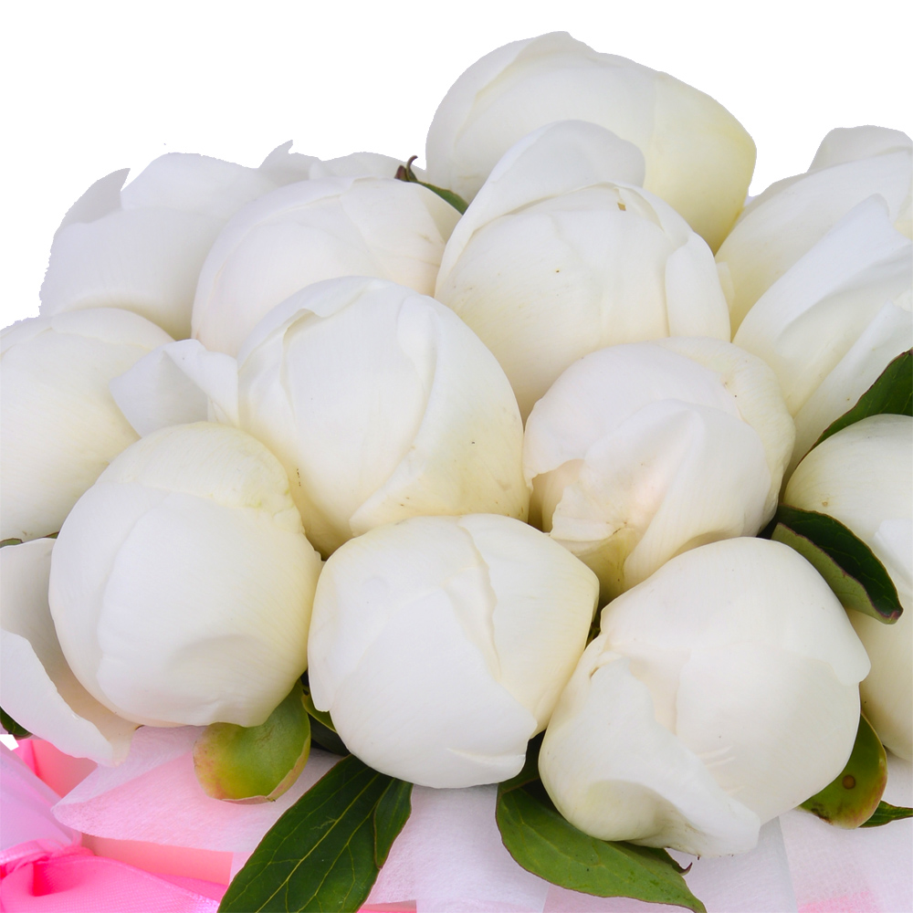 Букет из 15 белых пионов в кремовой шляпной коробке