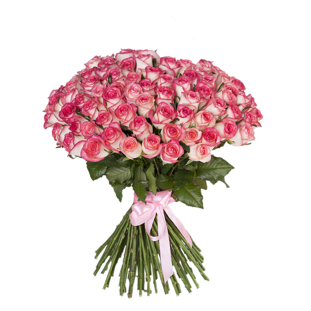 Букет 101 бело-малиновая роза premium 60 см