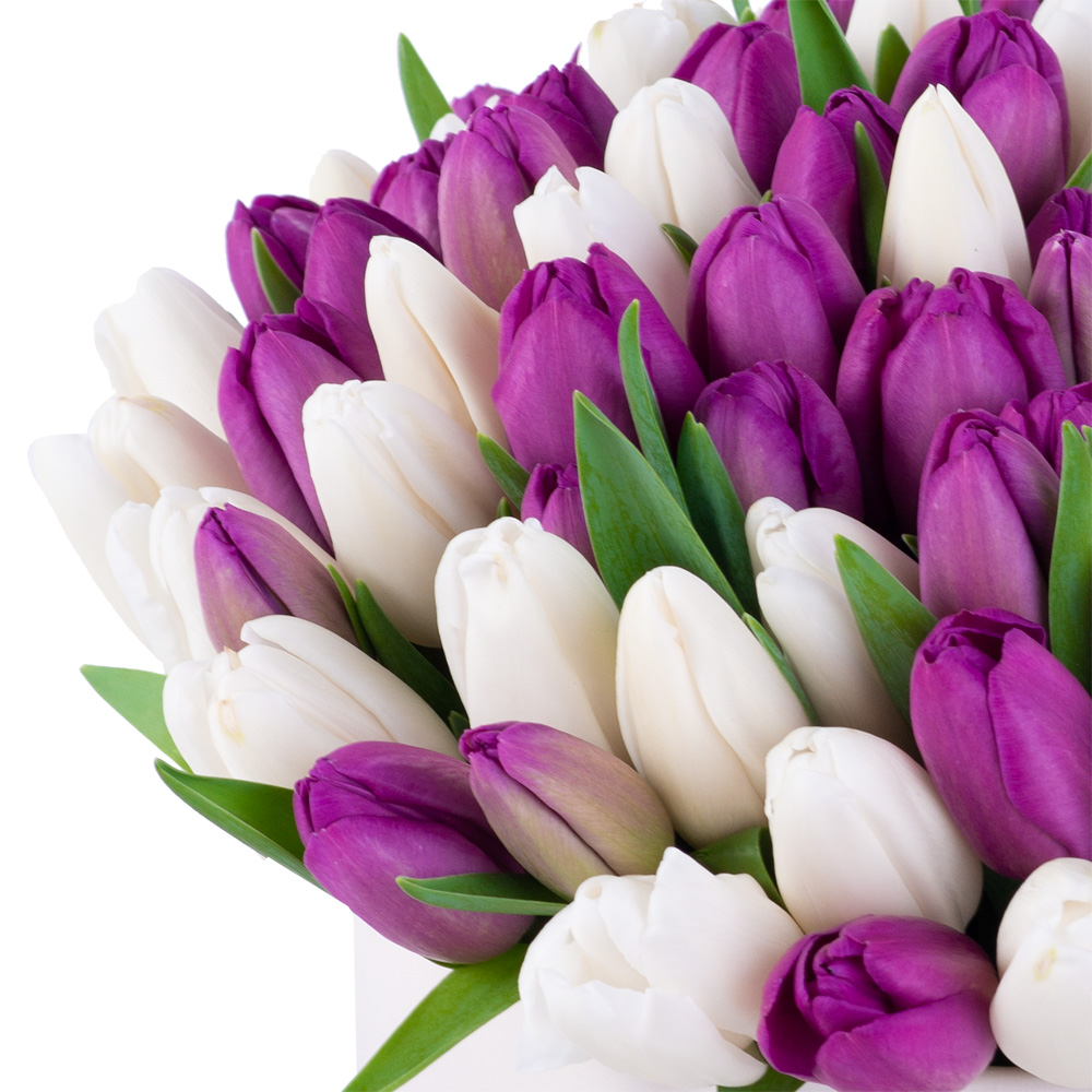 101 разноцветный тюльпан в кремовой шляпной коробке