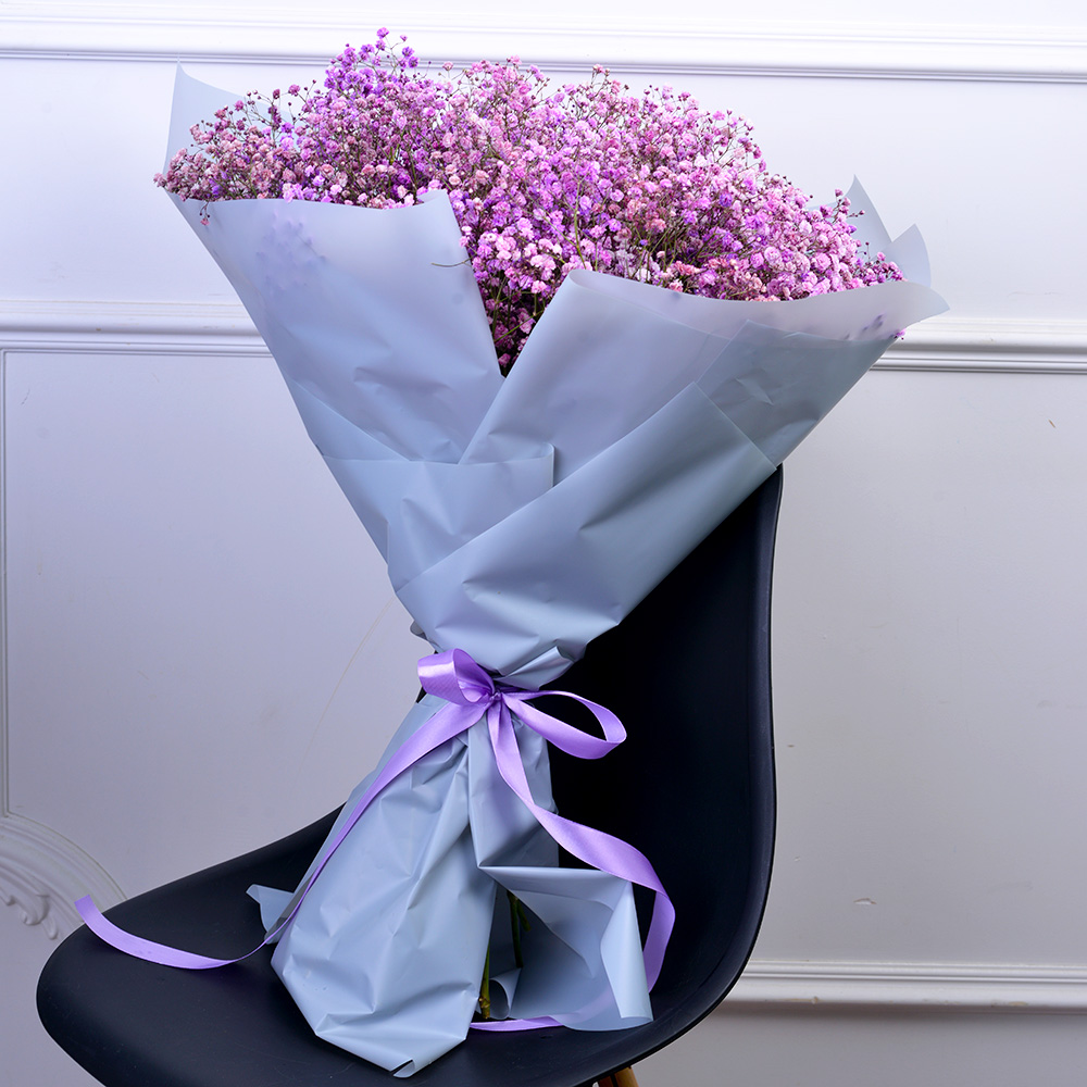 19 фиолетовых гипсофил