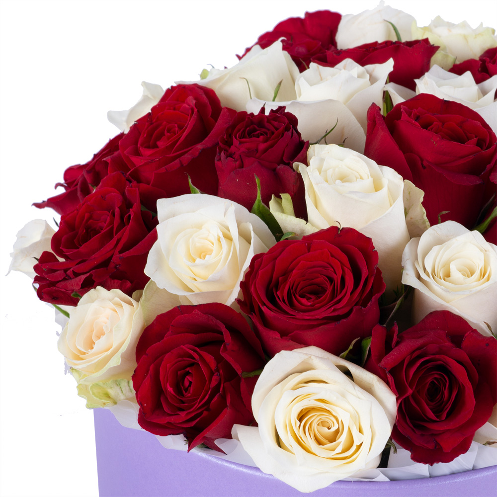 35 разноцветных роз в фиолетовой шляпной коробке