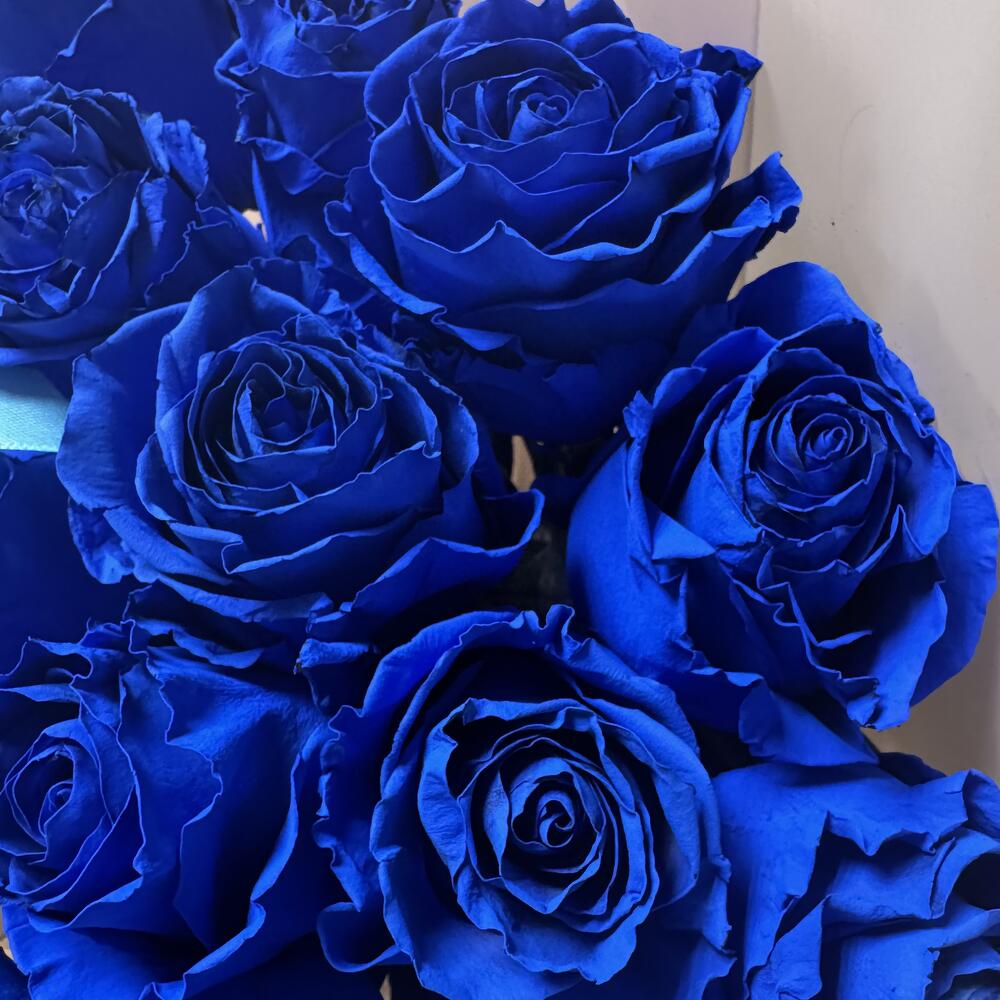Букет из 17 синих роз Эквадор