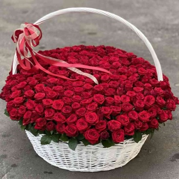 301 красная роза в корзине