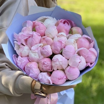 Букет из 25 нежно-розовых пионов