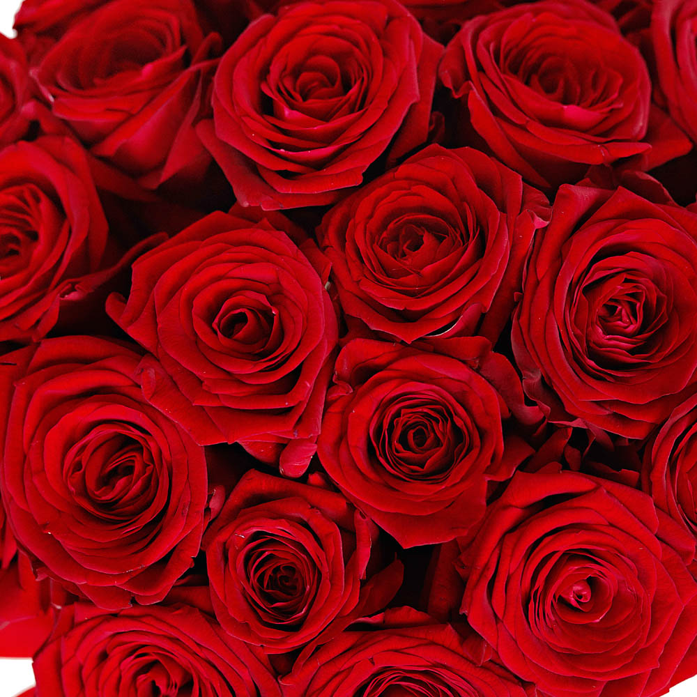 25 роз в шляпной коробке