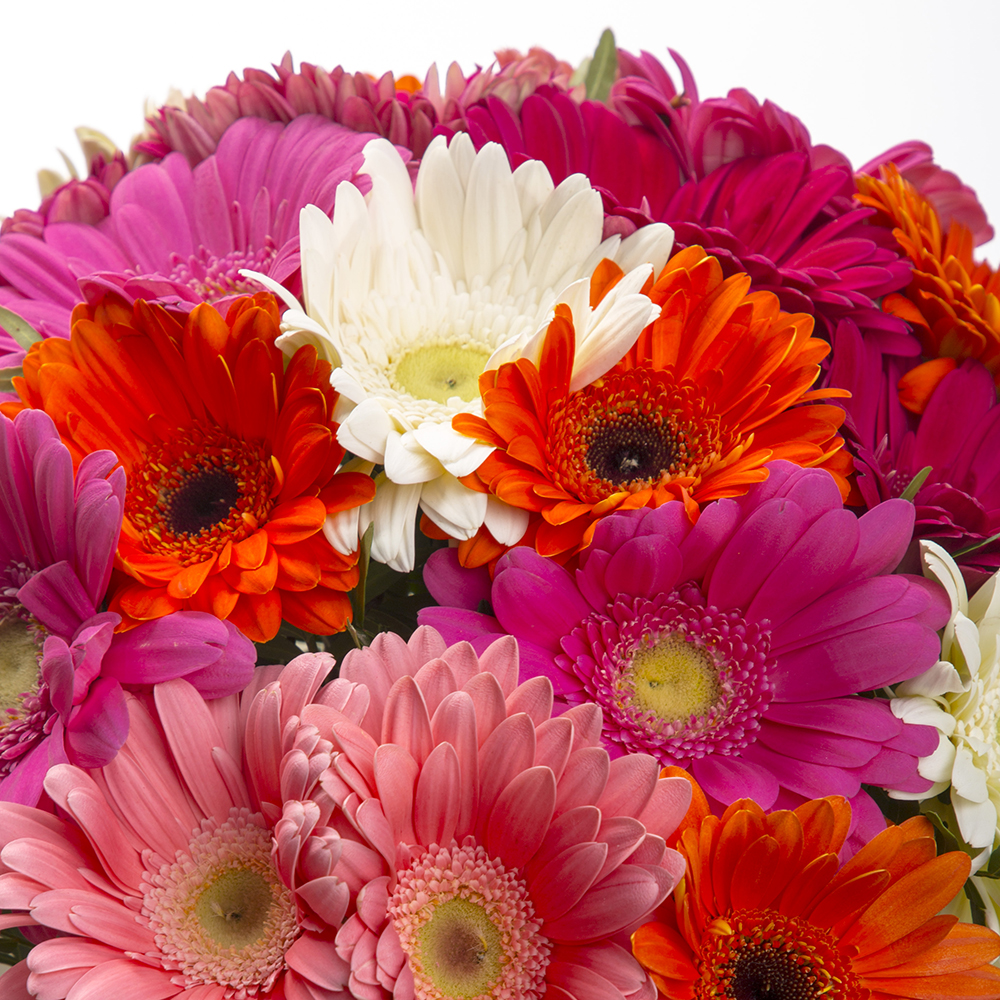 Букет из 21 герберы с фисташкой