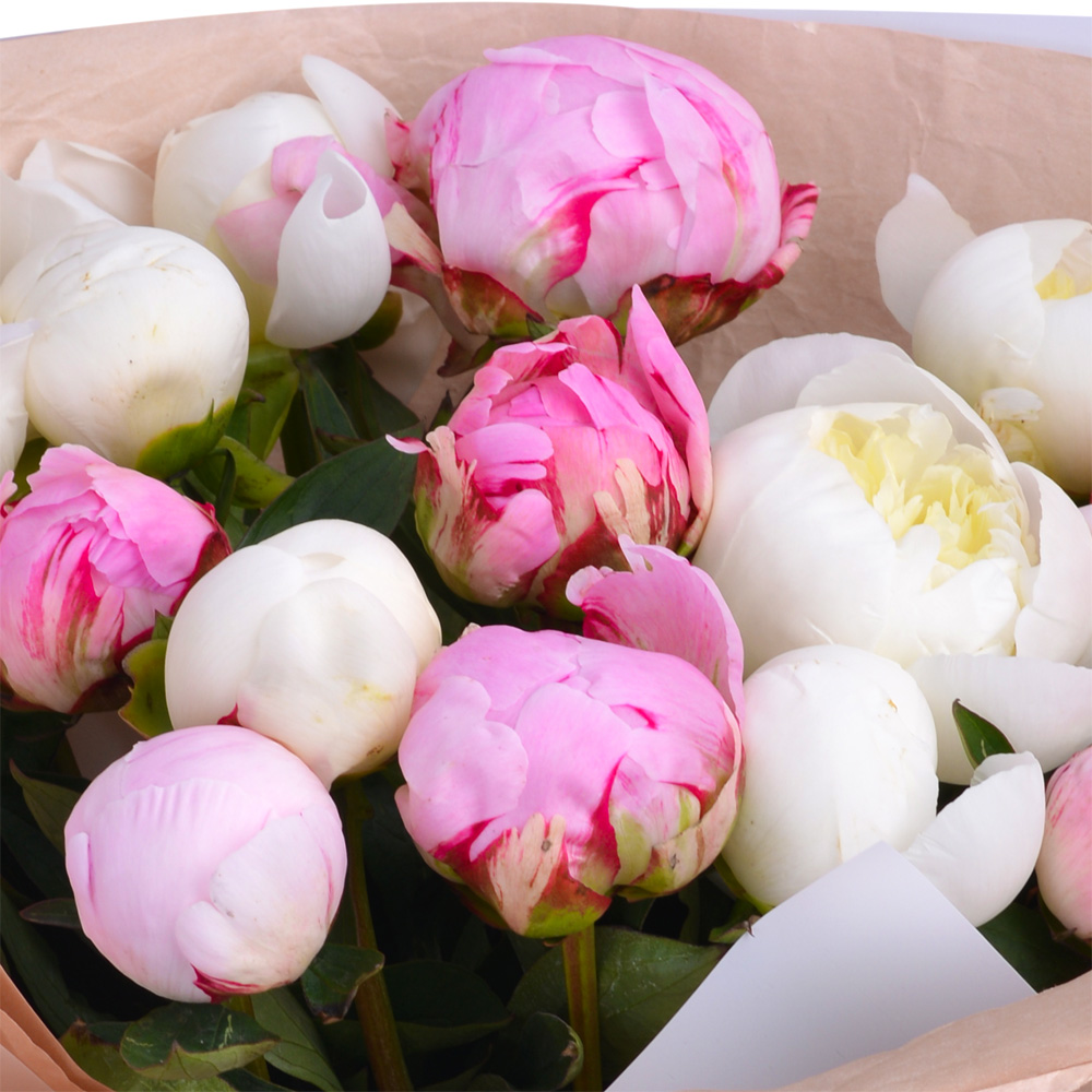 Букет из 15 разноцветных пионов