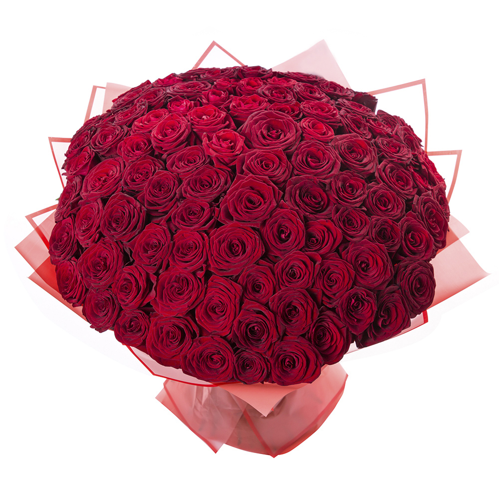 101 красная роза Premium 60 см.