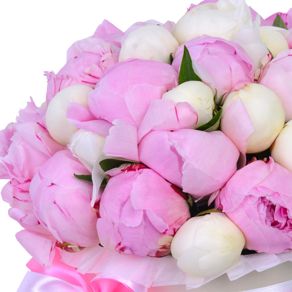 Букет из 35 разноцветных пионов в кремовой шляпной коробке