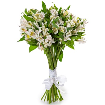 Букет из белой альстромерии 25 шт