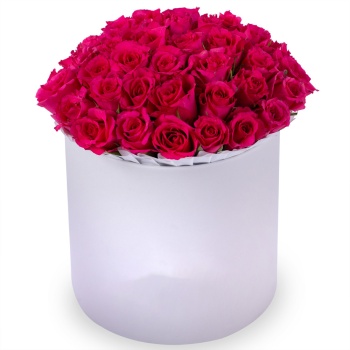 35 малиновых роз в белой шляпной коробке