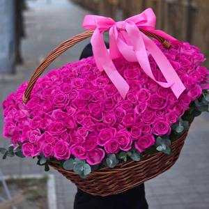 201 малиновая роза в корзине с лентой
