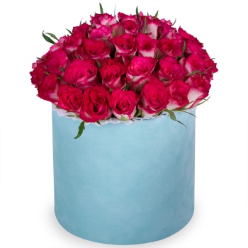 Букет из 51 бело-малиновой розы в зеленой бархатной шляпной коробке