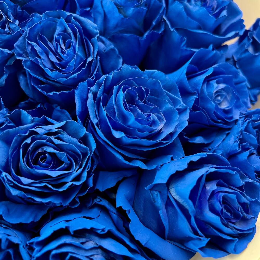 Букет из 35 синих роз Эквадор