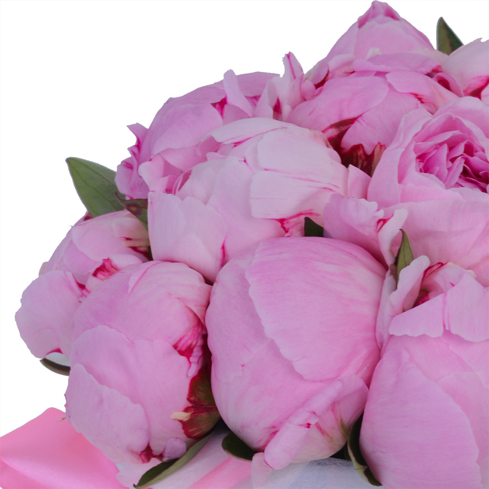 Букет из 21 розового пиона в голубой шляпной коробке