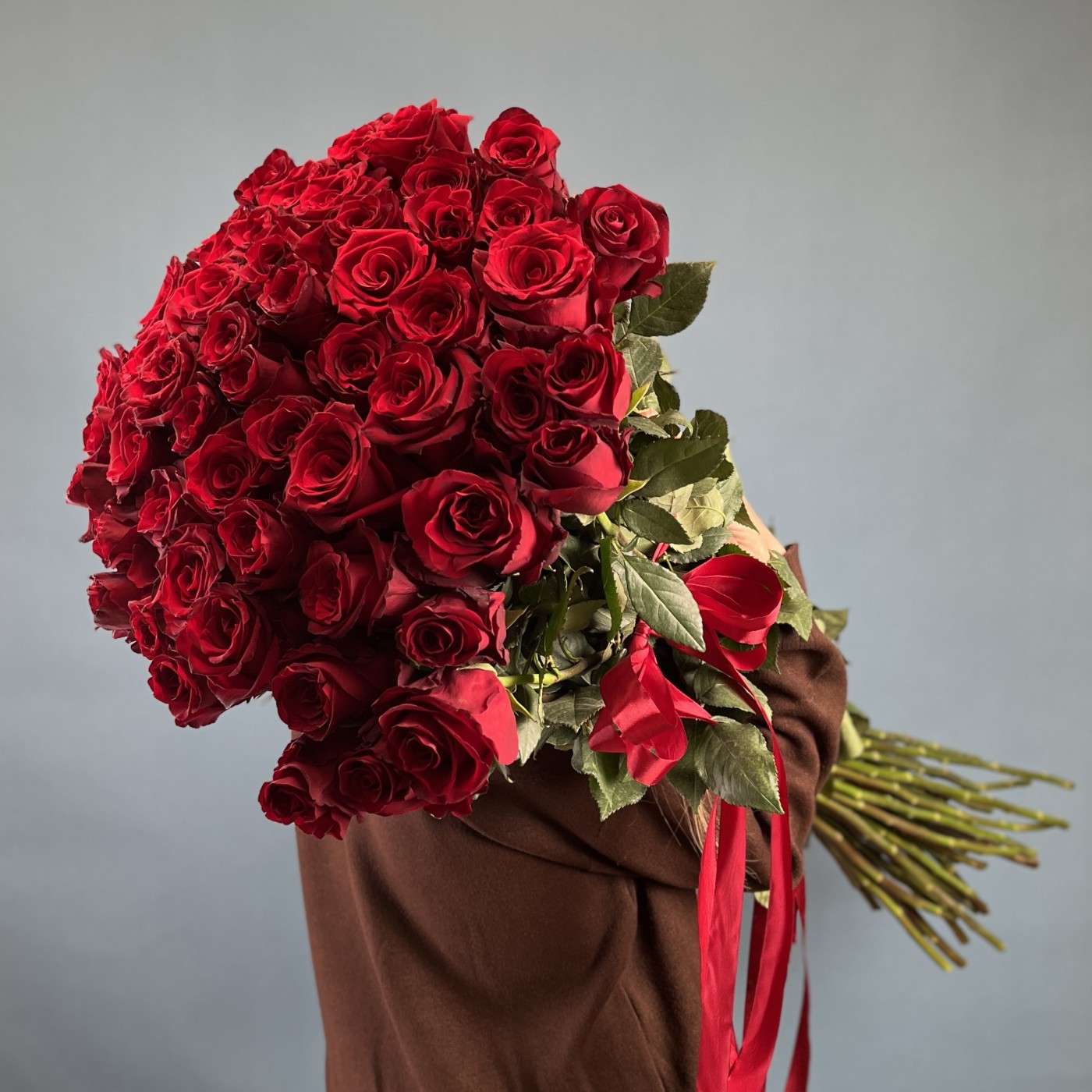 51 красная роза Эквадор 100 см