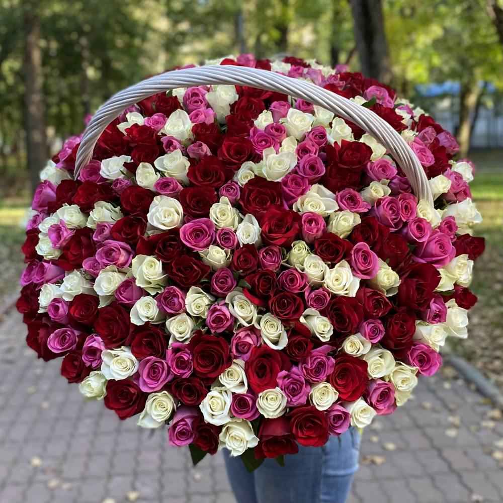 301 роза Яркий микс в корзине