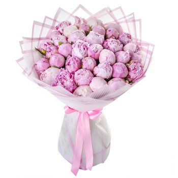 Букет из 35 нежно-розовых пионов