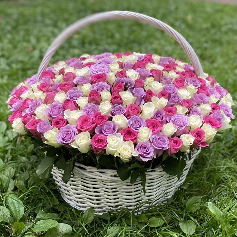 301 роза нежный Микс в корзине