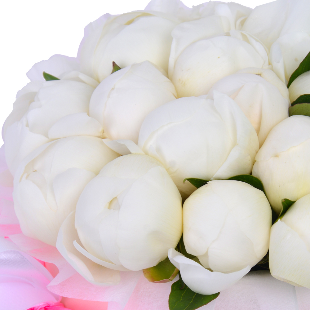 Букет из 21 белого пиона в кремовой шляпной коробке