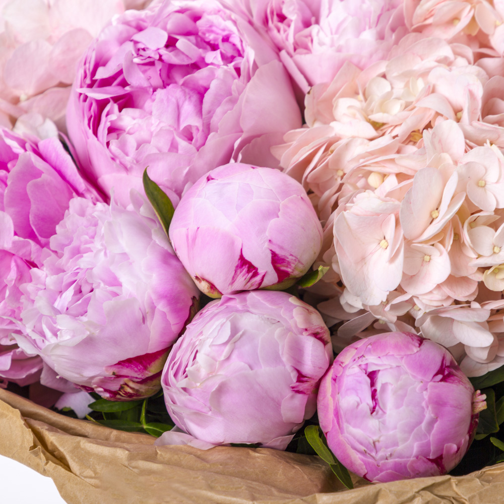 Букет из пионов и гортензий