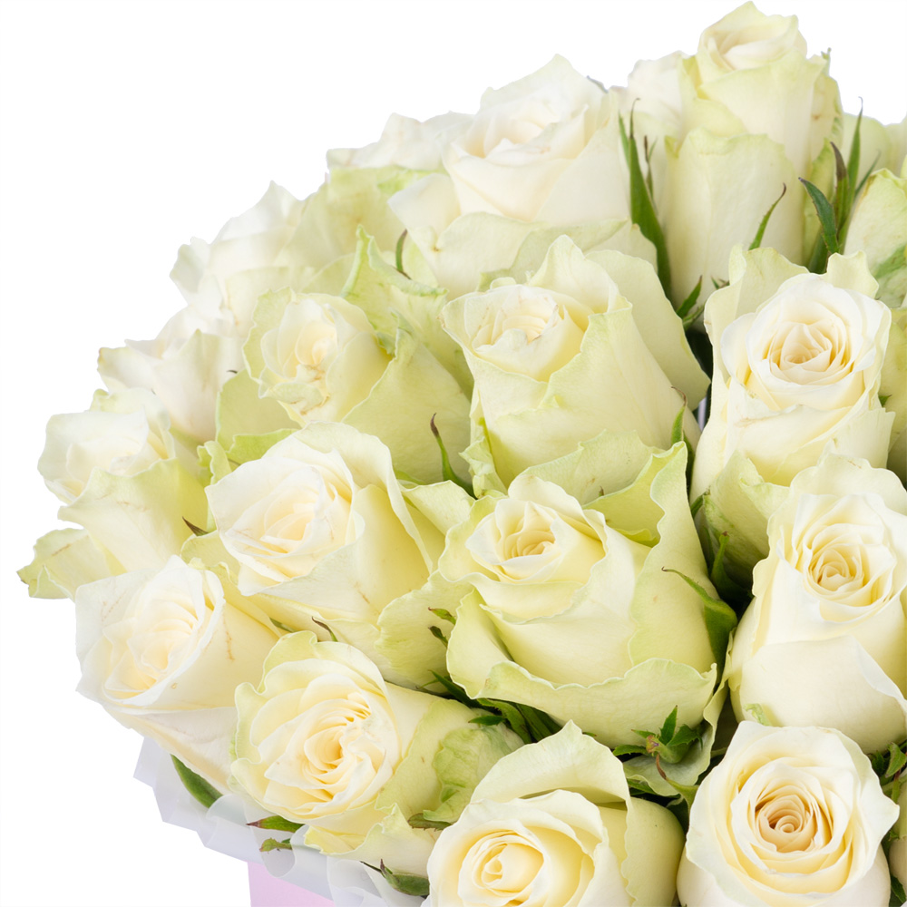 25 белых роз в розовой шляпной коробке