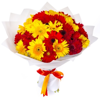 Букет из 29 разноцветных гербер