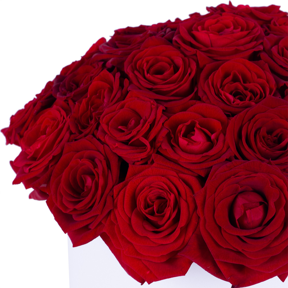Букет из 35 красных роз premium в белой шляпной коробке