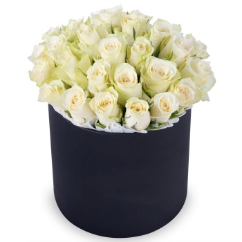 25 белых роз в черной шляпной коробке